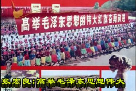 张宏良：高举毛泽东思想伟大红旗，实现社会主义的伟大复兴