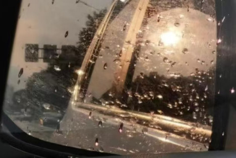 把校园还给教育而不是官僚主义