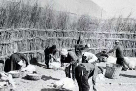 内蒙牧民自述：见证草原60年，我为何反对单干