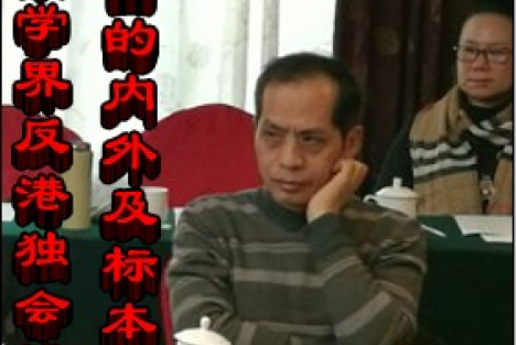【学者谈“港独”及国际国内形势】黄纪苏:中国的内外及标本