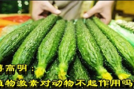 蒋高明:植物激素对动物不起作用吗?