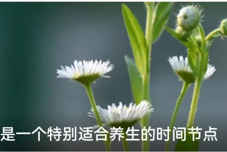 李太云：春分，是一个特别适合养生的时间节点