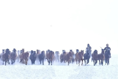 陈先义：向“天山焦裕禄”式的好干部贺娇龙学习的民间倡议