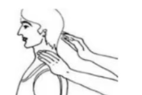 百病源于经络堵!身上这三经，每天敲敲，浑身轻松百病消