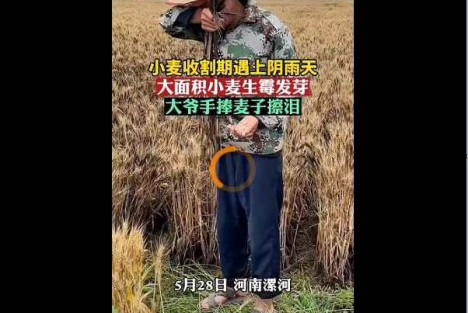 吕永岩：农官们到底想干啥呢？