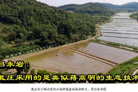 吕永岩：戴庄采用的是类似蒋高明的生态技术