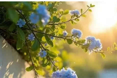 潘斌：现实主义诗歌主流性的文本深耕与流派对比