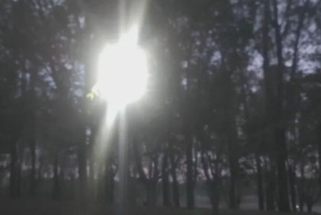 谁是“酸黄瓜”？