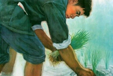 各阶级的“没办法”与“有办法”——知识分子篇