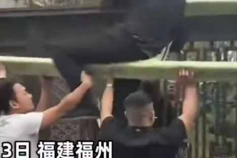 一边鼓励一边破坏，是种很坏的“趋势”！