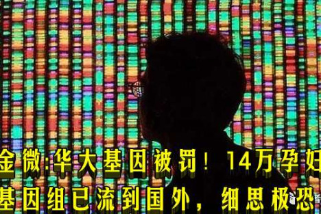 金微：华大基因被罚！14万孕妇基因组已流到国外，细思极恐！