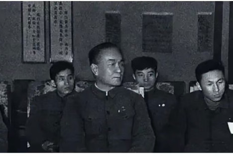 毛远新 | 关于潘复生的问题