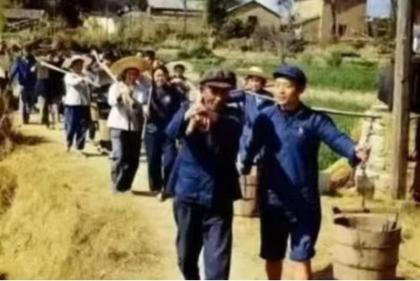 集体生产效率低？不要闭着眼睛说瞎话