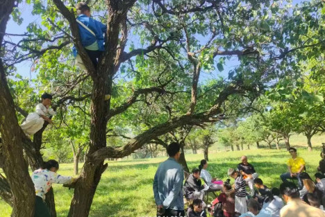 孔庆东：回归教育的本质