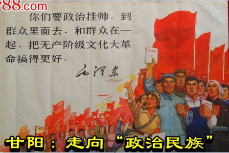 甘阳：走向“政治民族”