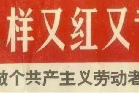 《学习马克思主义理论，理论联系实际，做合格共产党人——致青年党员》一次主题党日读书会的导读材料