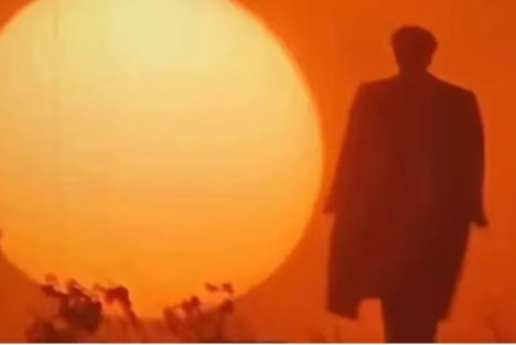 市场经济与代孕与儿童买卖与内鬼