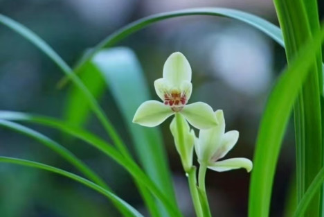 【原创】寄友人