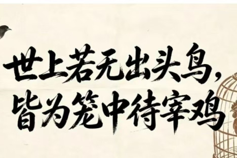 世上若无出头鸟，皆为笼中待宰鸡