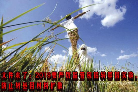 文件来了：2019要严厉监管包括转基因实验，防止转基因材料扩散