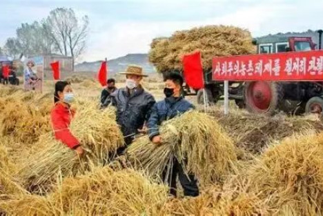 朝鲜农业劳动者同盟纪念成立80周年