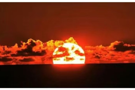 文学的政治烙印：无法回避的精神使命