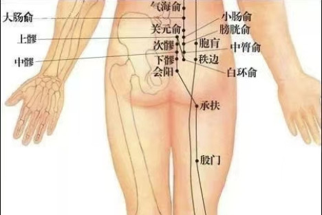 臀部淤堵影响外形和健康，最实用的养护方法在这里
