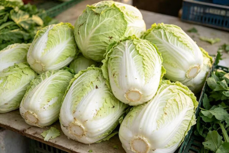 解决甲醛白菜的问题还是要依靠群众