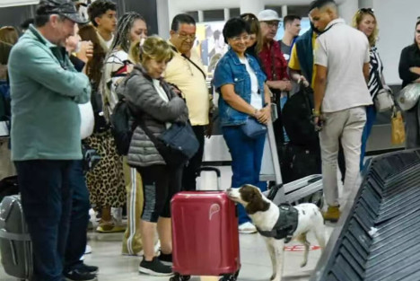 古巴海关正式实施新规