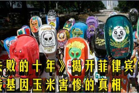 《失败的十年》揭开菲律宾农民被转基因玉米害惨的真相