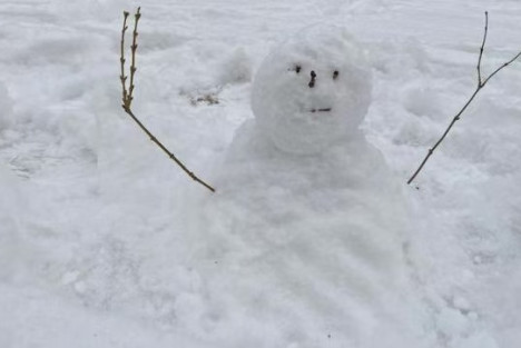 当信仰只剩铜板：一个社会的沉默坠落