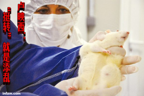 卢映西：“挺转”就是添乱