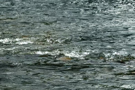 记忆里的康沿河