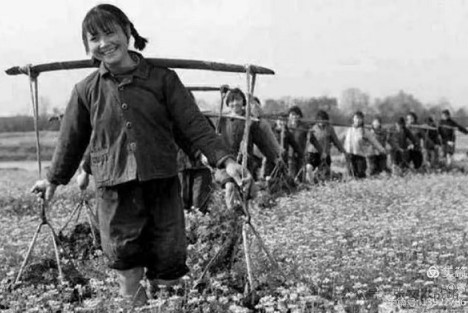 中学旧诗新读：茧厚心红好接班