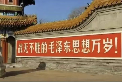 青年的苦楚与出路