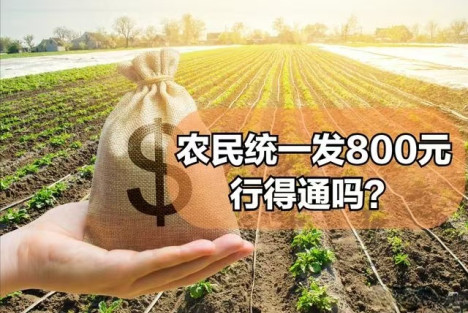 农民该不该领取每月 800元的社保?