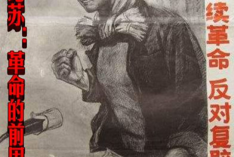 黄纪苏：革命的前因后果