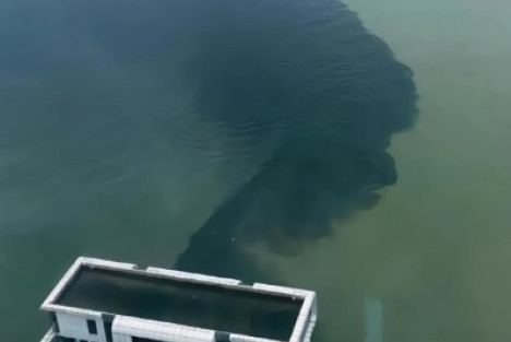 林治波：倭国真是一个毫无道德底线的奇葩