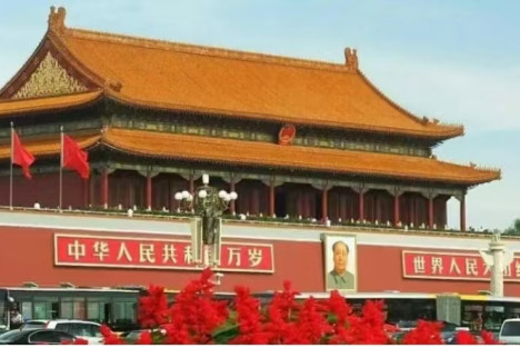 伟大的消毒剂
