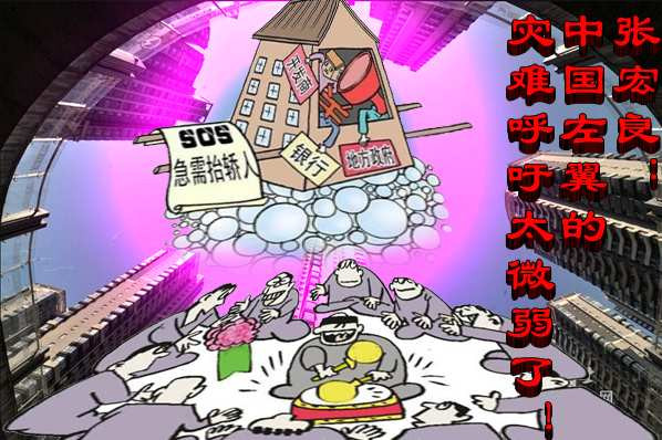 张宏良：中国左翼的灾难呼吁太微弱了！