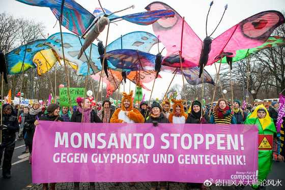 为人类，为孩子，为未来，德国爆发大规模反转基因反孟山都示威游行！