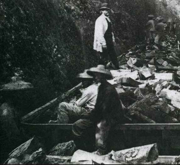 冼玉生 ：梦断美利坚——在美华人血泪史