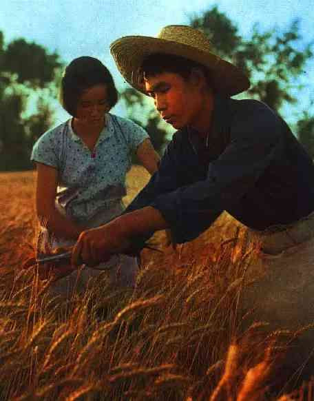 激情岁月！共和国留下父辈们创业的足印（14）