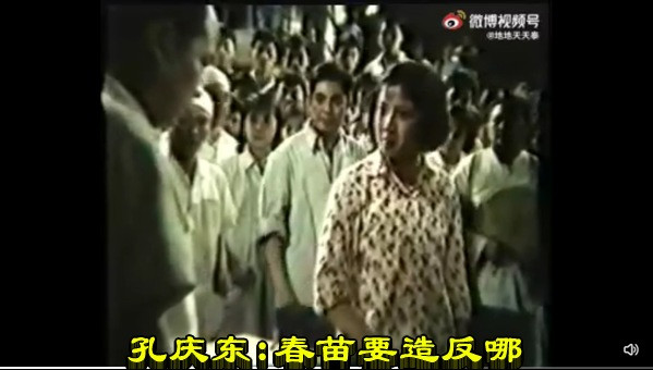 孔庆东:春苗要造反哪