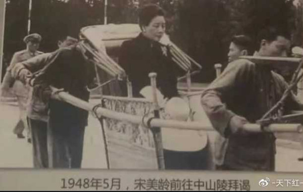 网红的狗坐轿子，富人的狗改历史