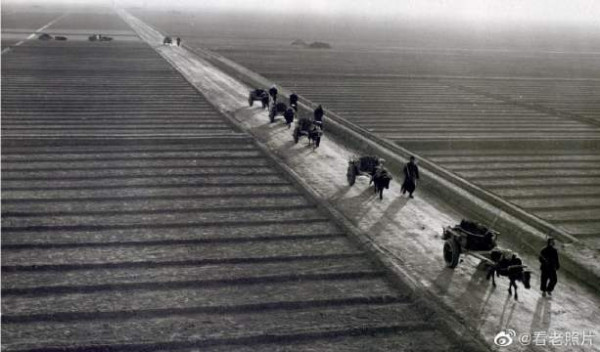 1950年代,农业合作化