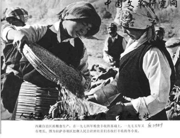 中华民族的子孙应当知道的关于毛主席的十四个谬论