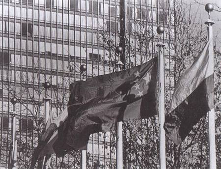 联合国的“中国日”