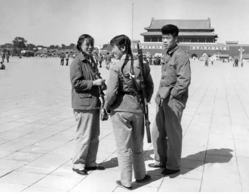 张宏良：错不在枪而在制度