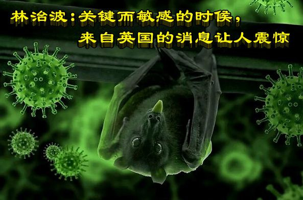 林治波：关键而敏感的时候，来自英国的消息让人震惊